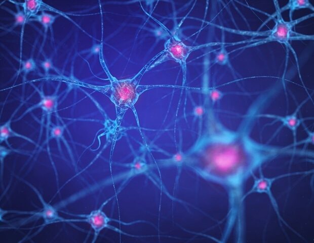picture20182f72fneural_network_2c_brain_cells_2c_human_nervous_system_2c_neurons_-_nobeastsofierce_a1_3232a264381c4aaf9ce43d1d68dcb9ae-620x480-3034246