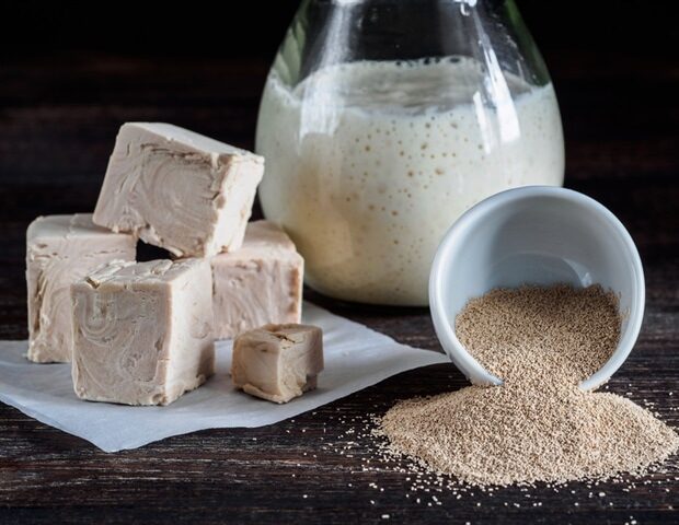 picture20192f52fdifferent_types_yeast-_fresh_pressed_yeast2c_dry_instant_yeast_and_active_wheat_s_-_fascinadora_m1_6115ab4f3e654d0587c39087f5f118ef-620x480-1393775