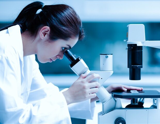 picture20142f72f134984011-620x480-8650100