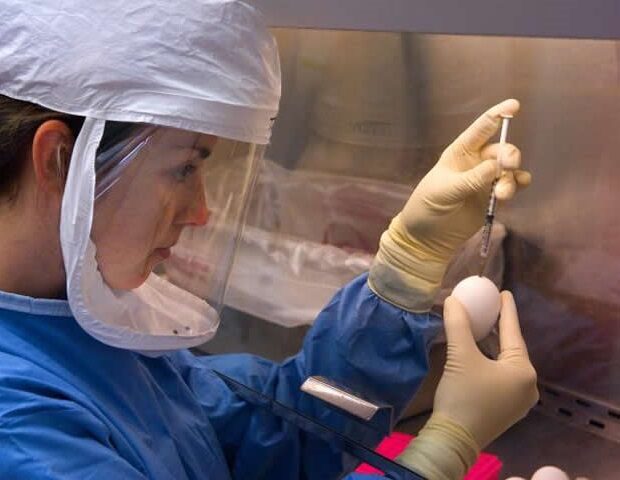 picture20142f72fpandemic-620x480-6641149
