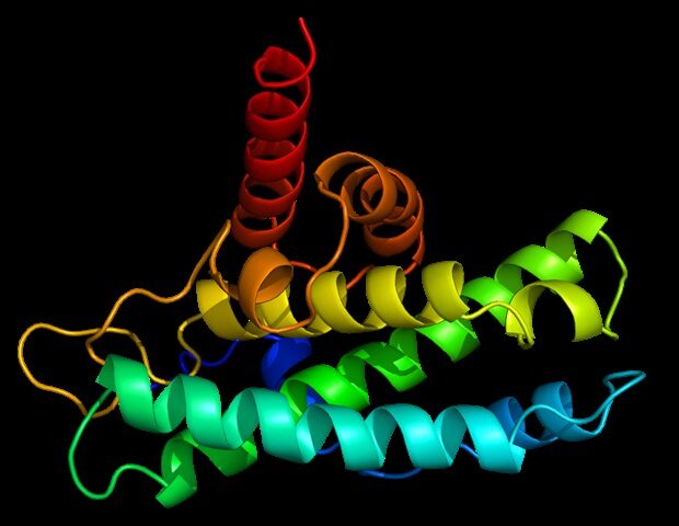 picture20142f72fprotein-620x480-9793868