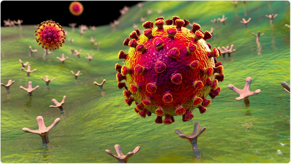 Virus SARS-CoV-2 se liant aux récepteurs ACE-2 sur une cellule humaine, stade initial de l'infection COVID-19, illustration 3D conceptuelle K par Kateryna Kon