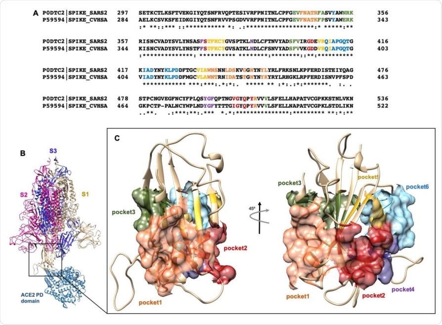(A) Alignement Clustal Omega des régions RBD de la protéine SARS-CoV et SARS-CoV-2 Spike. Les résidus portant sur différentes poches sont colorés respectivement en jaune (poche 1), vert (poche 2), bleu clair (poche 3), magenta (poche 4), rouge (poche 5) et bleu ardoise foncé (poche 6). (B) Représentation de dessin animé du trimère de la protéine SARS-2 Spike en complexe avec le domaine PD de l'ACE2. Complexe obtenu grâce à la superposition des structures PDB 6VSB et 6M0J. (C) Représentation en surface des six poches sélectionnées utilisées pour le dépistage.