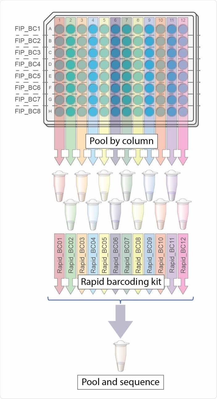 Vue d'ensemble du flux de travail du laboratoire LamPORE