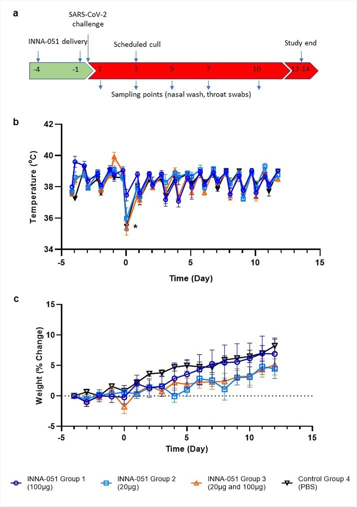 Observations cliniques. (a) Schéma de la conception expérimentale. Les furets ont reçu des traitements INNA-051 et PBS 4 jours et 1 jour avant la provocation avec 5,0 x 106 pfu / ml SARS-CoV-2. Des prélèvements nasaux et de gorge ont été prélevés aux jours 1, 3, 5, 7, 10 et 12 après la provocation (p.c.) pour tous les groupes de traitement et le groupe témoin. Des abattages programmés ont été effectués pour 6/24 furets le jour 3 p.c. et 18/24 furets les jours 12-14 p.c. (b) Les températures ont été mesurées deux fois par jour (à environ 8 heures d'intervalle), en utilisant des puces de température / ID implantées. Les températures moyennes +/- l'erreur standard de la moyenne (SEM) sont affichées. La chute de température après la provocation par le SRAS-CoV-2 (*) a été attribuée à la sédation. (b) Le poids a été enregistré quotidiennement et le pourcentage de changement par rapport au poids du furet avant le traitement a été tracé. Le pourcentage moyen de changement de poids +/- SEM est affiché.