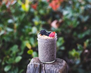 Graine de Chia