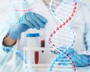 Les étapes d'un test de paternité