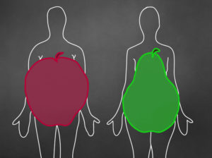 la forme du corps de la pomme et de la poire