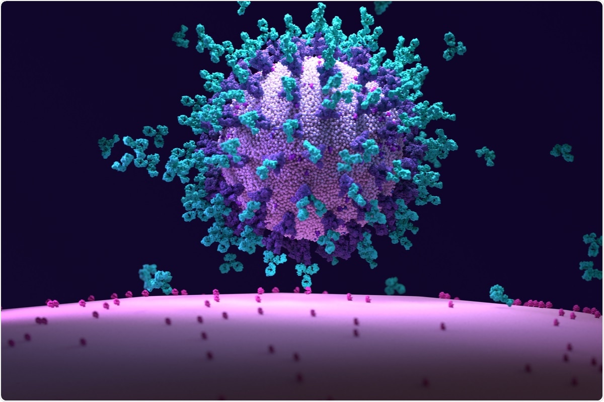 Étude: L'imagerie en direct de l'infection par le SRAS-CoV-2 chez la souris révèle que les anticorps neutralisants nécessitent une fonction Fc pour une efficacité optimale.  Crédit d'image: Design_Cells / Shutterstock