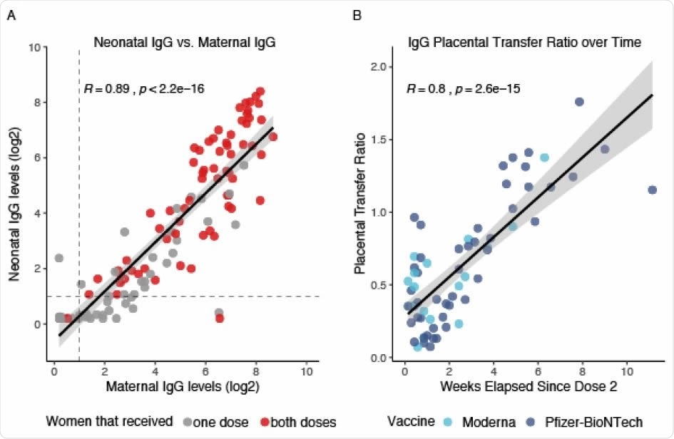 Réponse d'anticorps néonatale à la vaccination maternelle ARNm du SRAS-CoV-2.  A. Niveaux d'IgG néonatals par rapport aux taux d'IgG maternels.  Les points gris représentent les nouveau-nés de mères qui n'ont reçu qu'une seule dose du vaccin.  Les points rouges représentent les nouveau-nés de mères ayant reçu les deux doses du vaccin.  Tous les seuils sérologiques positifs étaient de 1 (ligne pointillée).  B. Ratio de transfert placentaire (IgG néonatale / IgG maternelle) par rapport aux semaines écoulées depuis la dose de vaccination maternelle 2 pour 65 dyades mère-bébé contenant des mères qui ont reçu les deux doses de vaccin.  Le point temporel 0 est le jour de la dose de vaccin 2. Les points bleu clair représentent la vaccination maternelle Moderna, les points bleu foncé représentent la vaccination maternelle Pfizer-BioNTech.  Les femmes ont reçu le vaccin Moderna ou Pfizer-BioNTech.