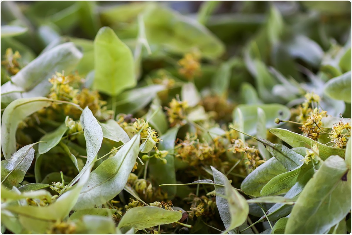 Revue: Activité antivirale exercée par les produits naturels contre les virus humains.  Crédit d'image: Pictures_for_You / Shutterstock