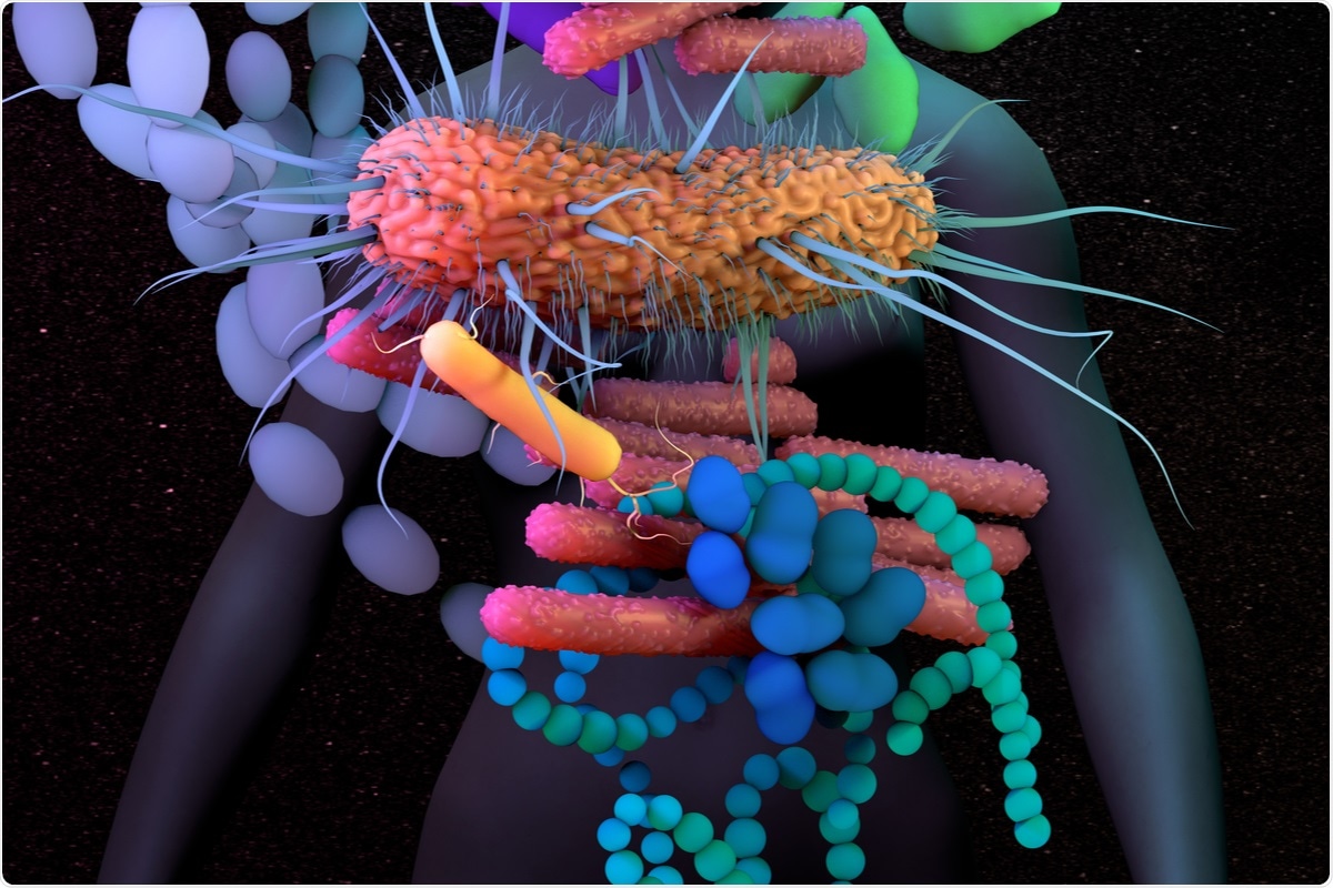 Etude: Reconstruction d'anciens génomes microbiens à partir de l'intestin humain.  Crédit d'image: Design_Cells / Shutterstock