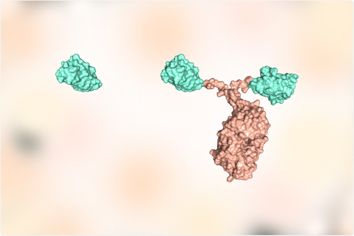 Study: Discovery of nanobodies against SARS-CoV-2 and an uncommon neutralizing mechanism. Image Credit: Huen Structure Bio / Shutterstock