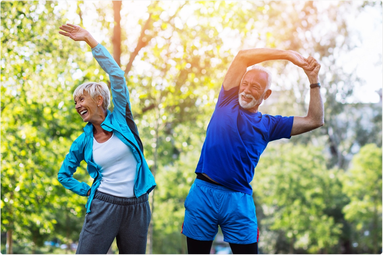 Study: An inflammatory aging clock (iAge) based on deep learning tracks multimorbidity, immunosenescence, frailty and cardiovascular aging. Image Credit: hedgehog94 / Shutterstock