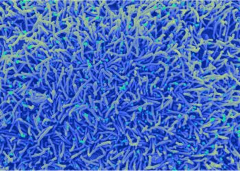 Study: A photoactivable natural product with broad antiviral activity against enveloped viruses including highly pathogenic coronaviruses. Image Credit: NIAID