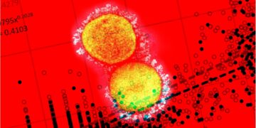 Study: SARS-CoV-2 IgG detection in human oral fluids
