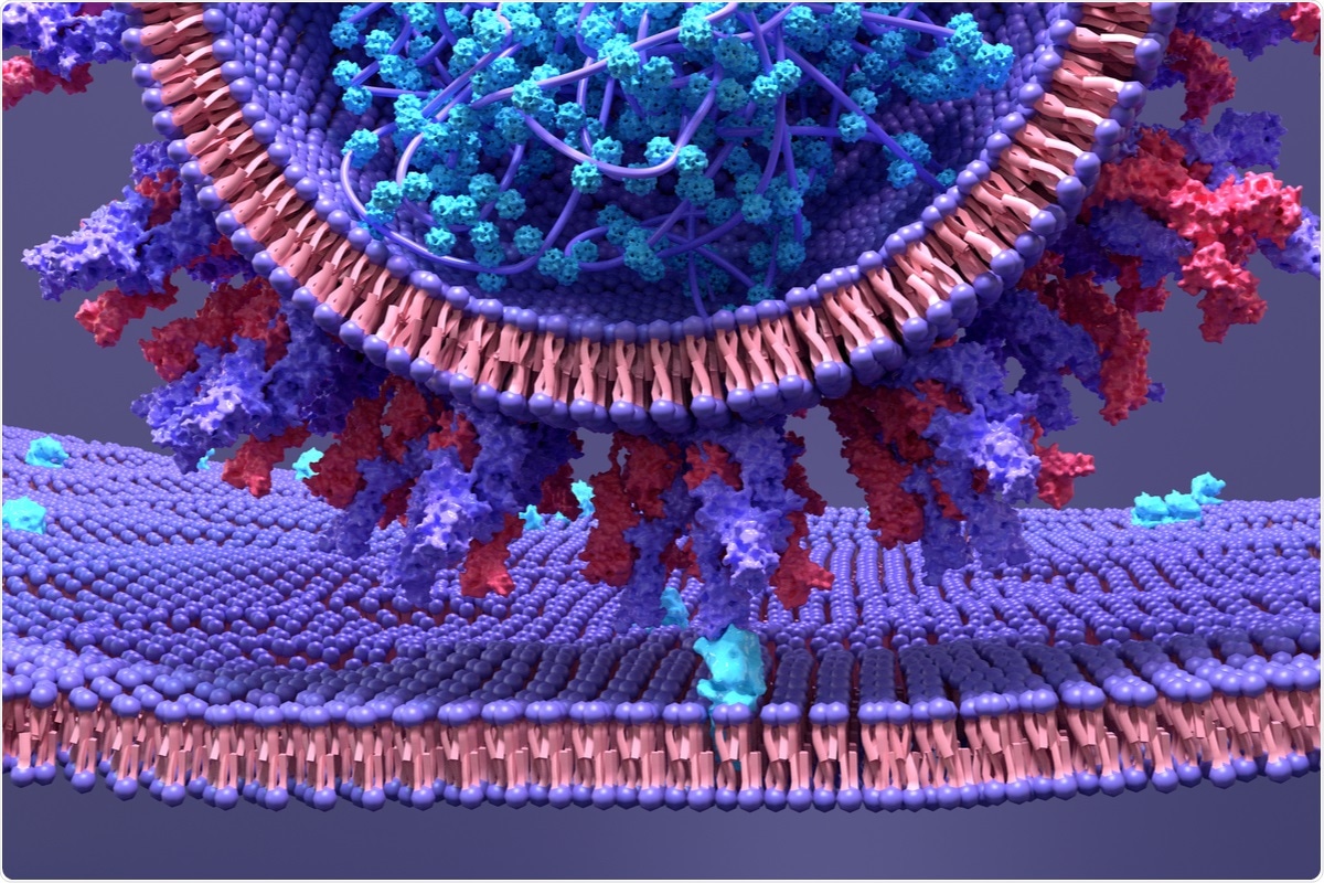 Study: Membrane fusion and immune evasion by the spike protein of SARS-CoV-2 Delta variant. Image Credit: Design_Cells / Shutterstock