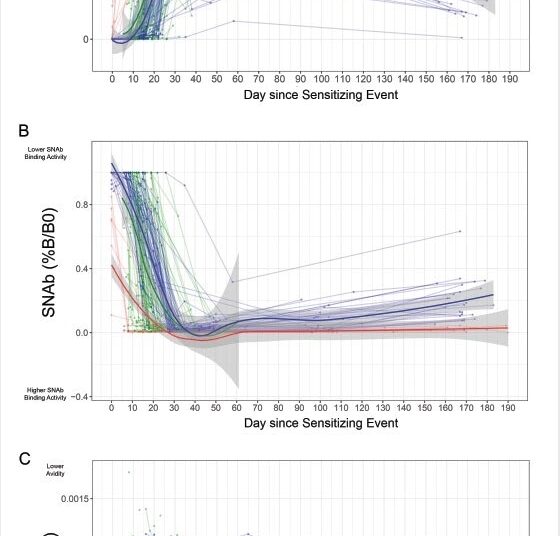 Dynamics of the anti-SARS-CoV-2 antibody response after vaccination or infection utilizing regression models. TAb (A), SNAb (B) levels and avidity (C) are displayed over time. A total of 686 data points were plotted from 19 RecoVax individuals (red), 49 NaïveVax individuals (blue) and 122 HospNoVax patients (green). All participants received the second dose 21 days after the 1st dose. The trend of antibody level overtime was described by applying Muggeo’s method of estimating regression models with unknown break-points to estimate the changing time points of the trends.