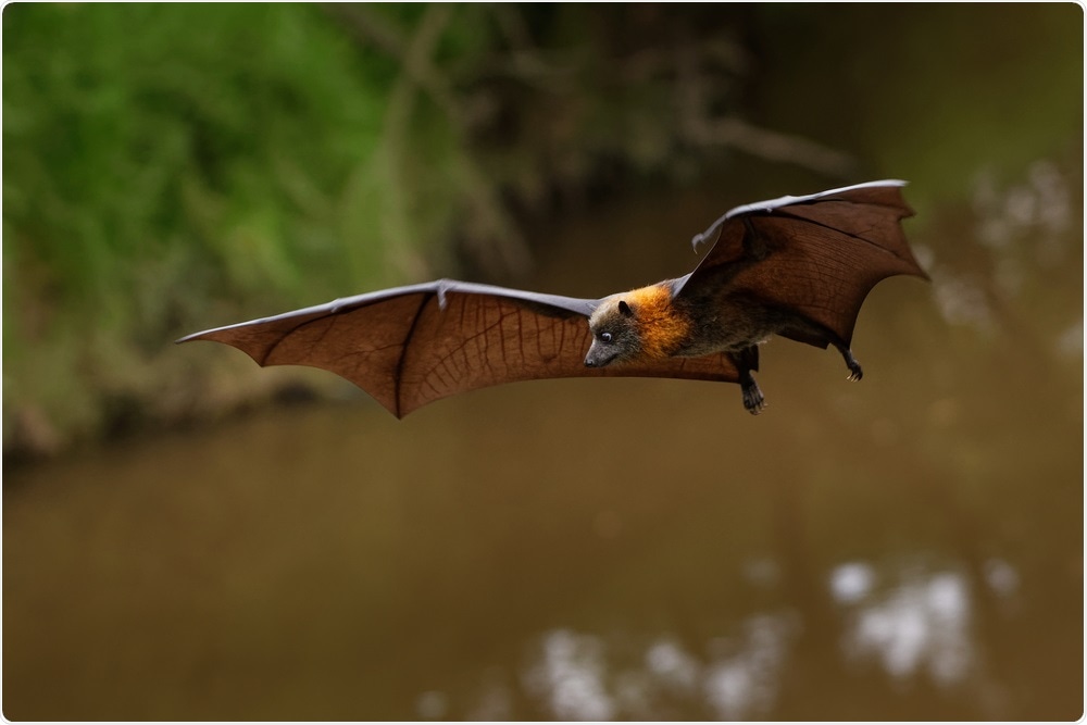 https://www.nature.com/articles/d41586-021-02596-2