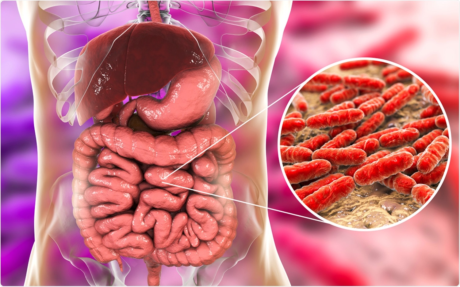 Study: Bioaccumulation of therapeutic drugs by human gut bacteria. Image Credit: Kateryna Kon / Shutterstock