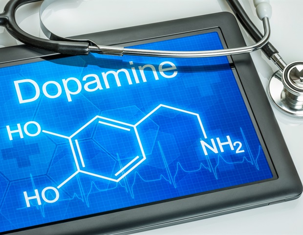 L'étude révèle que la dopamine envoie des signaux précis plutôt que de larges messages cerveaux