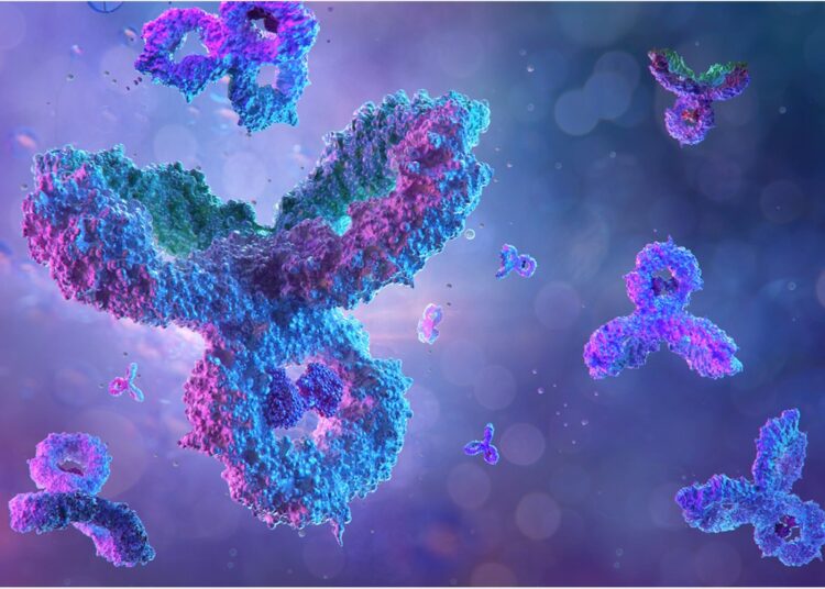 Study: Anti-SARS-CoV-2 receptor binding domain antibody evolution after mRNA vaccination. Image Credit: Corona Borealis Studio / Shutterstock