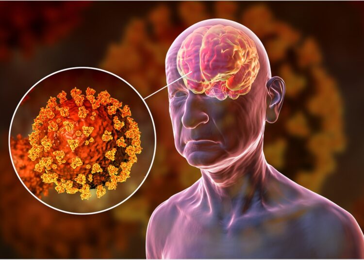 Review: COVID-19 and its effects on neurological functions. Image Credit: Kateryna Kon / Shutterstock