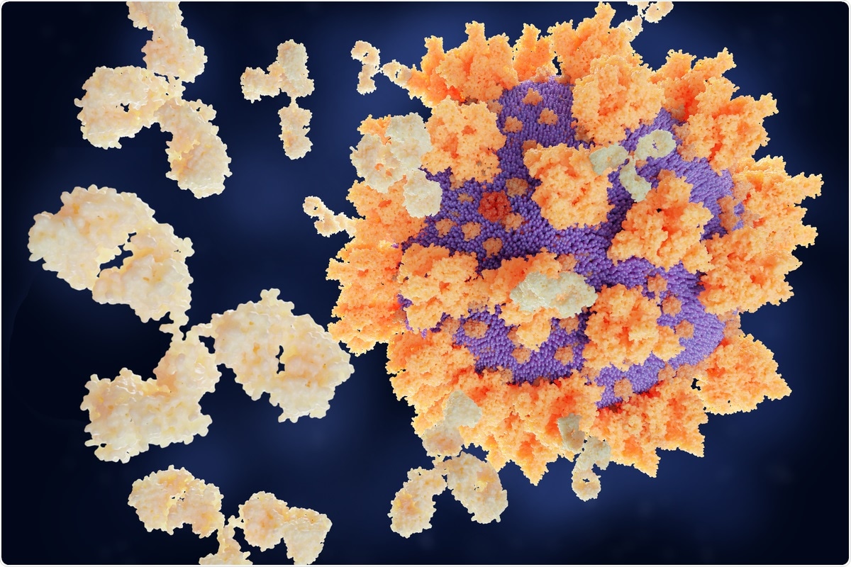 Study: Persistence of robust humoral immune response in COVID-19 convalescent individuals over 12 months after infection. Image Credit: Juan Gaertner/ Shutterstock