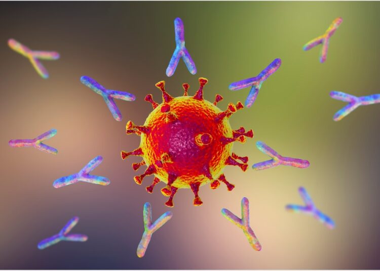 Study:Structural insights of a highly potent pan-neutralizing SARS-CoV-2 human monoclonal antibody. Image Credit: Kateryna Kon/ Shutterstock