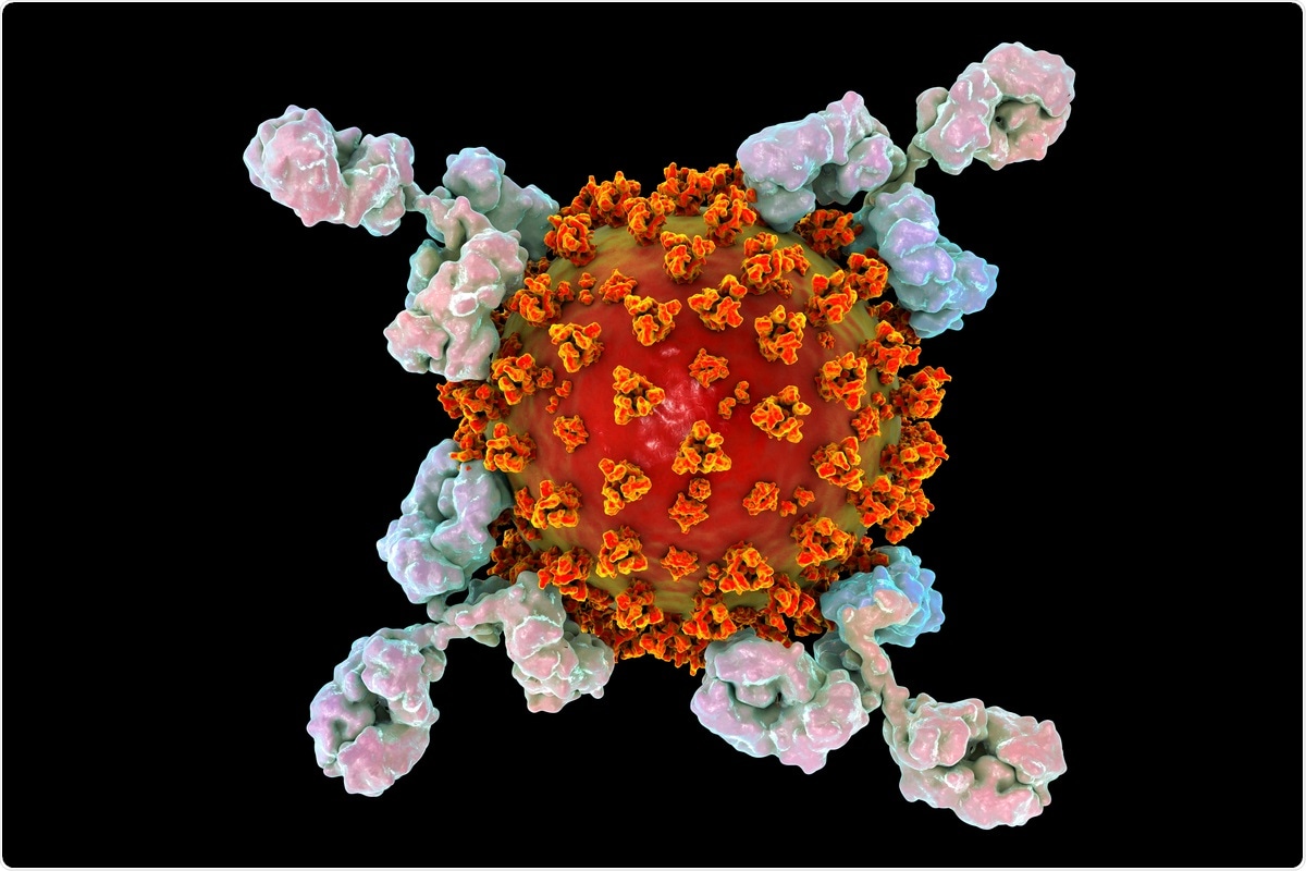 Study: A combination of two human neutralizing antibodies prevents SARS-CoV-2 infection in rhesus macaques. Image Credit: Kateryna Kon/ Shutterstock