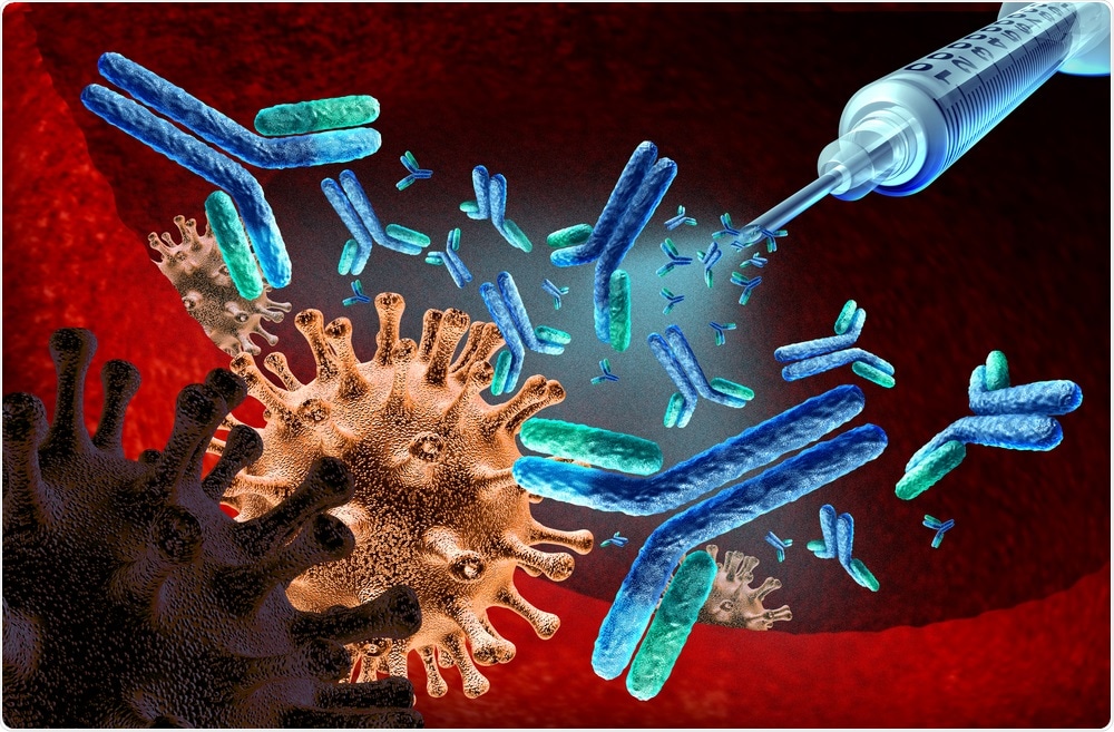 La réponse immunitaire déclenchée par un vaccin SAR-CoV-2 inactivé