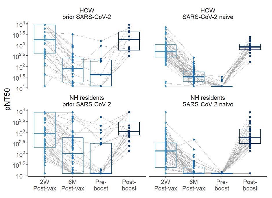 Titres de neutralisation au fil du temps avant et après la stimulation avec la vaccination à l'ARNm BNT162b2 chez les résidents des HCW et NH, avec et sans antécédents de SRAS-CoV-2. Les valeurs de neutralisation des pseudovirus (pNT50) sont indiquées. La limite supérieure de détection du test est de 1:8748 et la limite inférieure de détection du test de neutralisation est de 1:12. Titres de neutralisation au fil du temps avant et après la stimulation avec la vaccination à l'ARNm BNT162b2 chez les résidents des HCW et NH, avec et sans antécédents de SRAS-CoV-2. Les valeurs de neutralisation des pseudovirus (pNT50) sont indiquées. La limite supérieure de détection du test est de 1:8748 et la limite inférieure de détection du test de neutralisation est de 1:12.