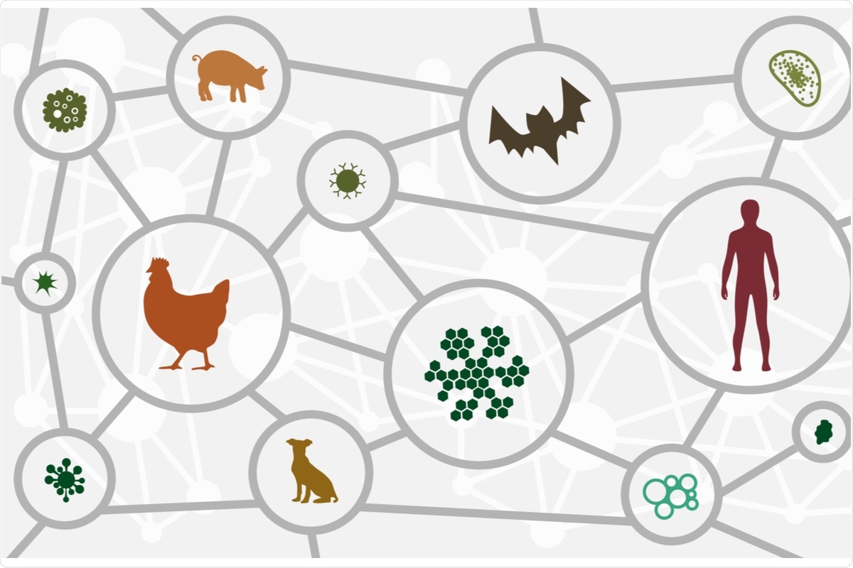 Enquête sur l'adaptation zoonotique et la transmission anthropozoonotique du SRAS-CoV-2