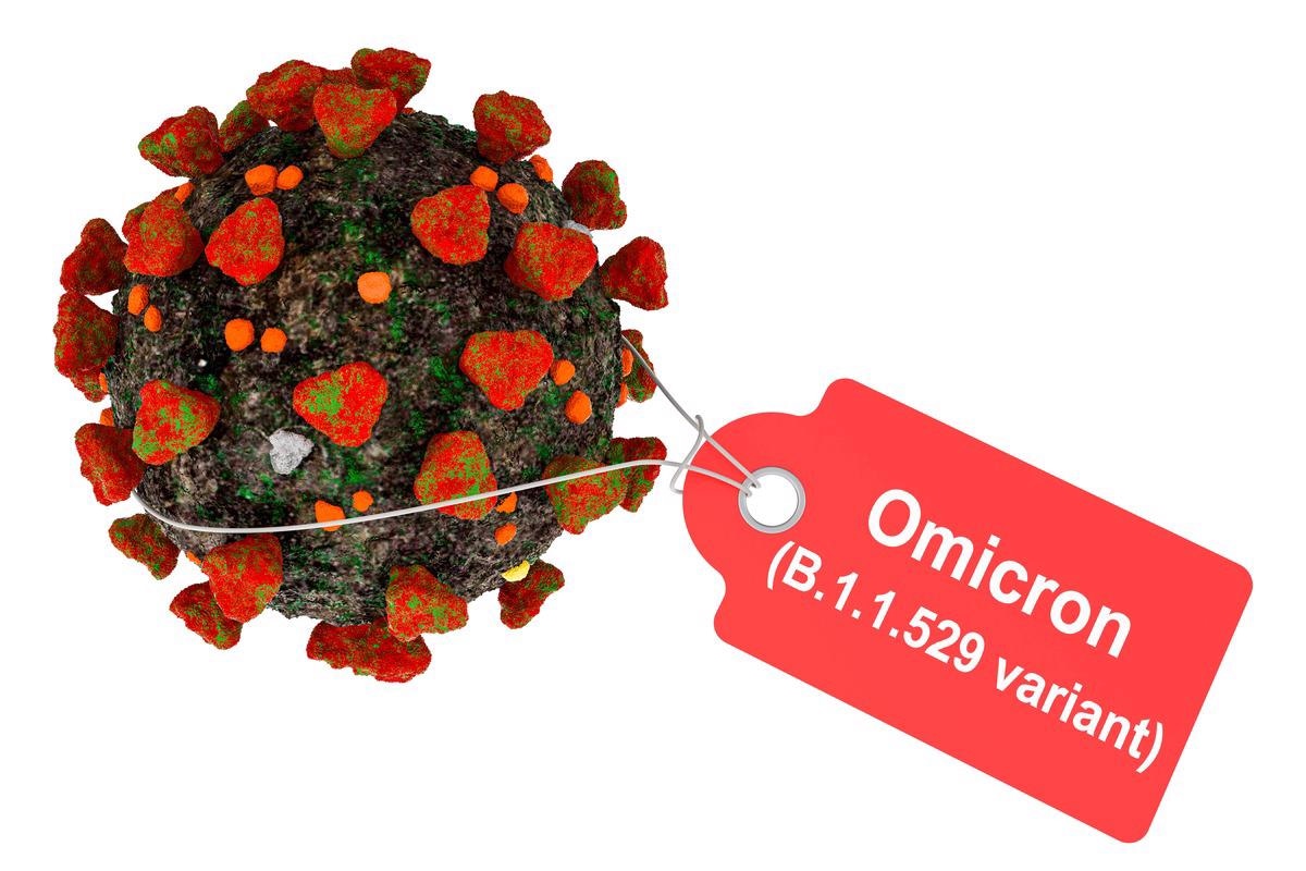 Study: Mutational cascade of SARS-CoV-2 leading to evolution and emergence of omicron variant. Image Credit:  natatravel/Shutterstock