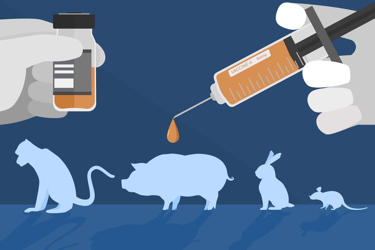 Study: The omicron (B.1.1.529) SARS-CoV-2 variant of concern does not readily infect Syrian hamsters. Image Credit: Hugethank/Shutterstock