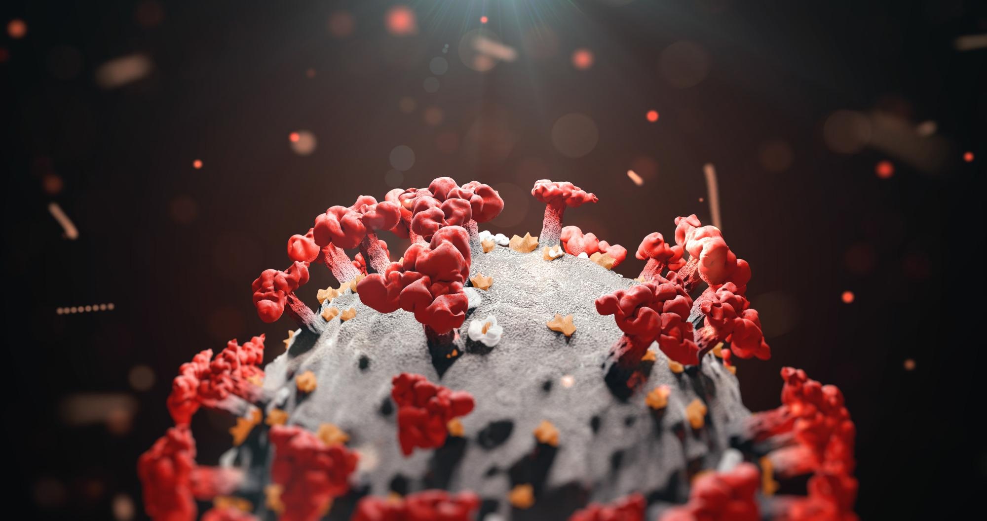 Study: Propagation of SARS-CoV-2 in Calu-3 Cells to Eliminate Mutations in the Furin Cleavage Site of Spike. Image Credit: Pinkeyes / Shutterstock