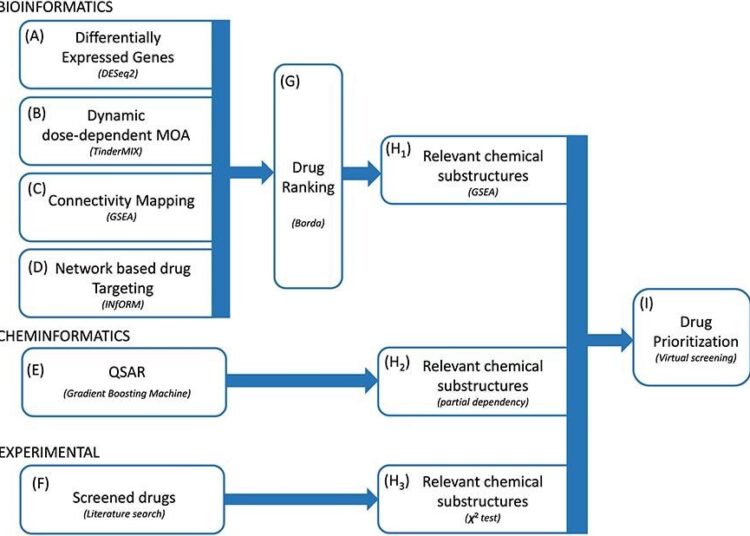 Une méthodologie de calcul intégrée pour la priorisation des médicaments COVID