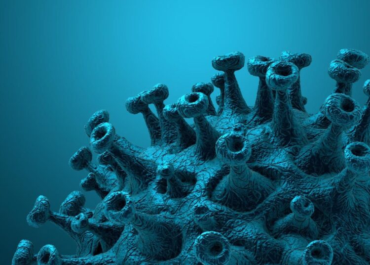 Study: Mild SARS-CoV-2 infection in rhesus macaques is associated with viral control prior to antigen-specific T cell responses in tissues. Image Credit: CROCOTHERY/Shutterstock