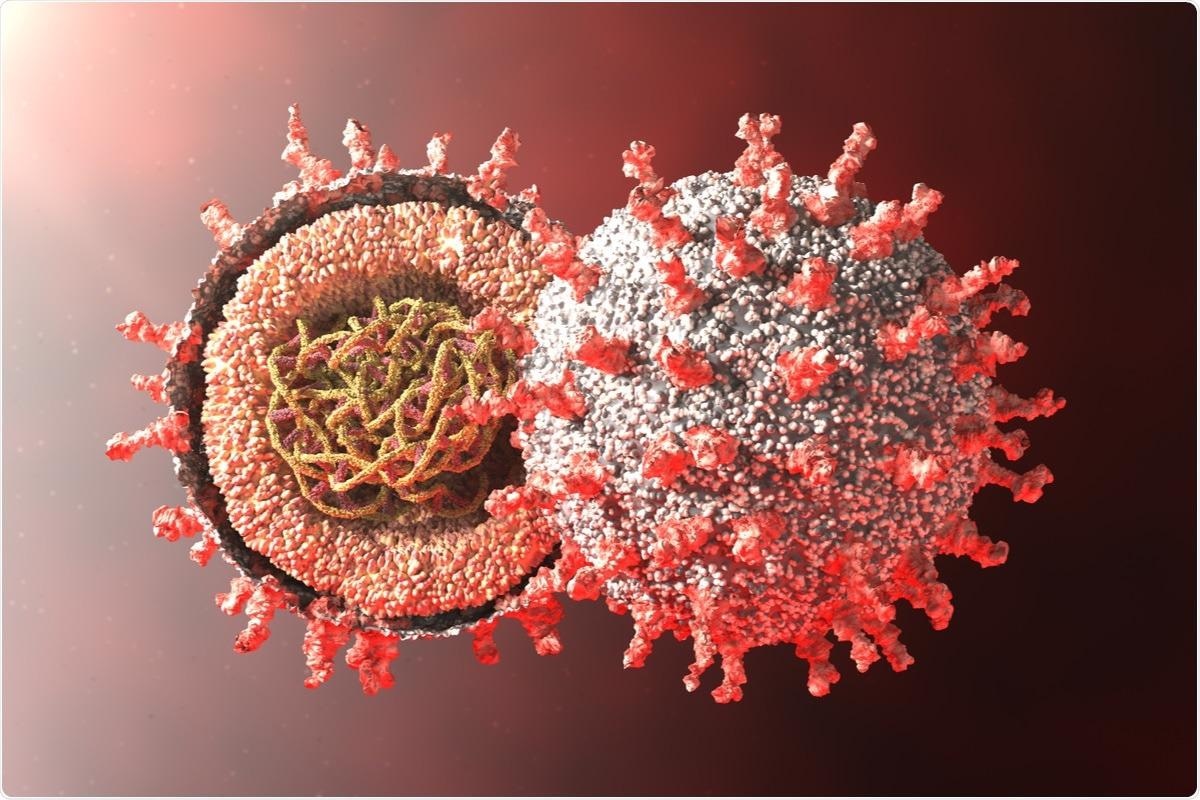Study: Innate and adaptive immune defects associated with lower SARS-CoV-2 BNT162b2 mRNA vaccine response in elderly people. Image Credit: Droneandy / Shutterstock