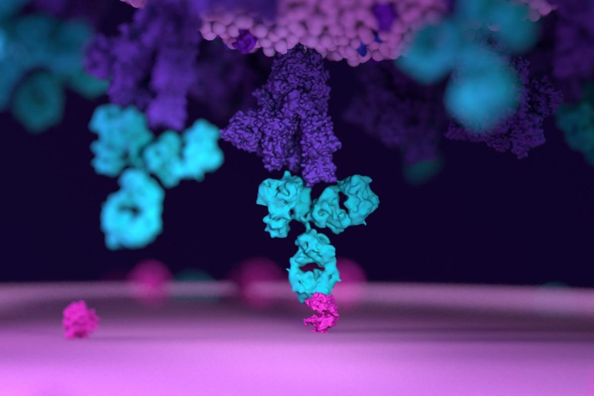 Study: Anti-SARS-CoV-2 swine glyco-humanized polyclonal antibody XAV-19 retains neutralizing activity against SARS-CoV-2 B.1.1.529 (Omicron). Image Credit: Design_Cells/Shutterstock