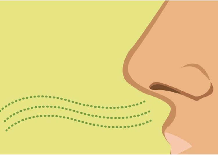 Study: Humoral response, associated symptoms and profile of patients infected by SARS-CoV-2 with taste or smell disorders in the SAPRIS multicohort study. Image Credit: Crystal Eye Studio / Shutterstock.com