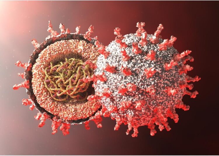 Study: Differences between Omicron SARS-CoV-2 RBD and other variants in their ability to interact with cell receptors and monoclonal antibodies. Image Credit: Droneandy / Shutterstock