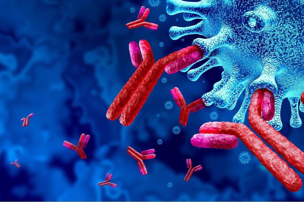 Study: Durable T-cellular and humoral responses in SARS-CoV-2 hospitalized and community patients. Image Credit: Lightspring/Shutterstock