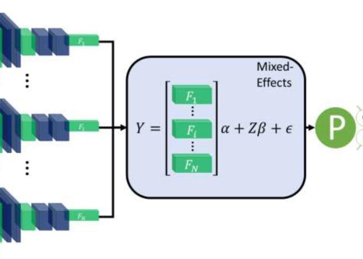 Diagram of the overall framework. Twenty slices are chosen from a CT volume. Each slice is fed into a CNN with shared weights, which outputs a feature vector of length 2048 for each image. The feature vectors form a 20-by-2048 fixed effects matrix, X, for the GMM model with a random-effects matrix, Z, consisting of an identity matrix. A mixed-effects model is used to model the relationship between slices. Finally, a fully connected layer and sigmoid activation return a probability of the diagnosis.