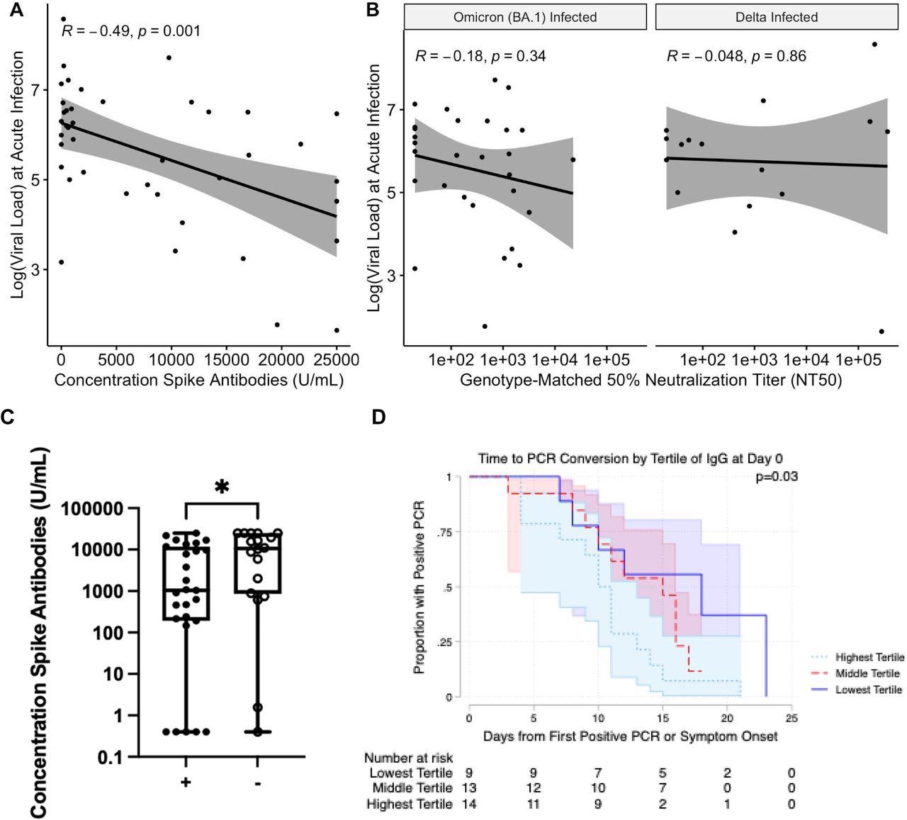 A. Le logarithme de la charge virale au moment de l'infection par rapport à la concentration d'anticorps anti-Spike au moment de la percée.  Une ligne de régression avec erreur standard est affichée, avec le coefficient de corrélation de Pearson et la valeur p correspondante.  B. Titres d'anticorps neutralisants correspondant au génotype.  Une ligne de régression avec erreur standard est affichée, avec le coefficient de corrélation de Pearson et la valeur p correspondante.  C. Concentration d'anticorps anti-Spike lors de la visite d'étude initiale pour les cas à culture positive (+) et les cas à culture négative (-).  La signification selon un test de somme des rangs de Wilcoxon non apparié est indiquée.  * - p < 0,05.  D. Courbes de Kaplan-Meier pour le temps de conversion PCR par tertile de réponses anti-Spike.  La valeur P représente le test du log-rank comparant les sous-groupes.