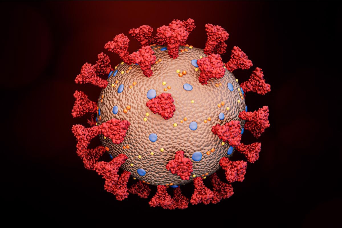 Study: Evolution of the SARS-CoV-2 spike protein in the human host. Image Credit: MattLphotography/Shutterstock