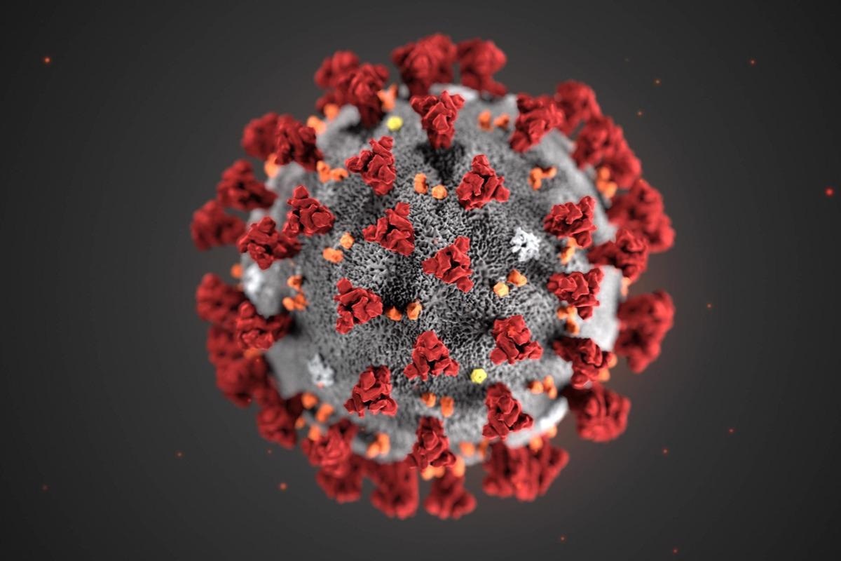 Study: In silico analysis predicts a limited impact of SARS-CoV-2 variants on CD8 T cell recognition. Image Credit: artofvisionn/Shutterstock