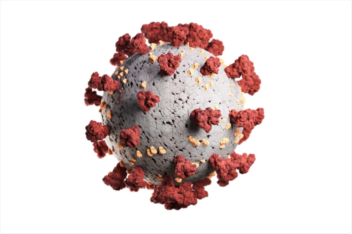 Study: Functional analyses and single cell immunoprofiling uncover sex-specific differences in SARS-CoV2 immune memory development. Image Credit: Imilian / Shutterstock.com
