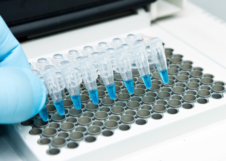 Study: Crippled Coronavirus: 5′-PolyU targeted Oligo prevents development of infectious Virions. Image Credit: unoL / Shutterstock
