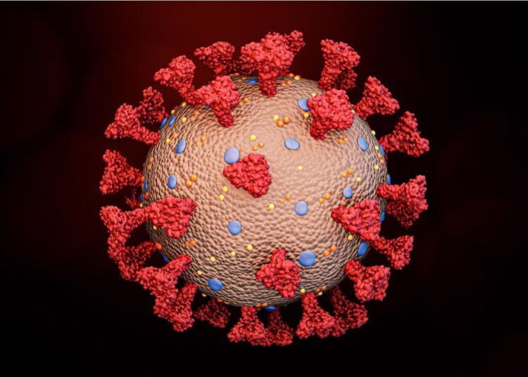 Study:SARS-CoV-2 Spike evolution influences GBP and IFITM sensitivity. Image Credit: MattLphotography/Shutterstock